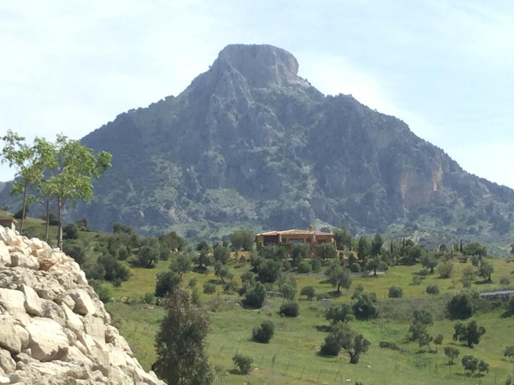 Bed and Breakfast Los Cazadores Ель-Ґастор Екстер'єр фото